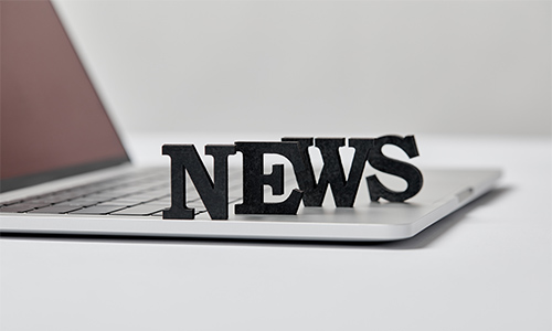 多股连板！航运板块频发异动公告，机构把脉后市